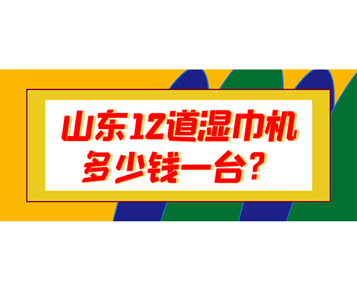 山東12道濕巾機多少錢一臺？