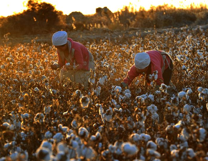 國(guó)外抵制新疆棉花，會(huì)對(duì)國(guó)內(nèi)濕巾行業(yè)造成影響